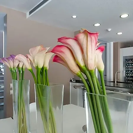 Exclusive Piscine Privee A 30km De Barcelone Szálloda 4*